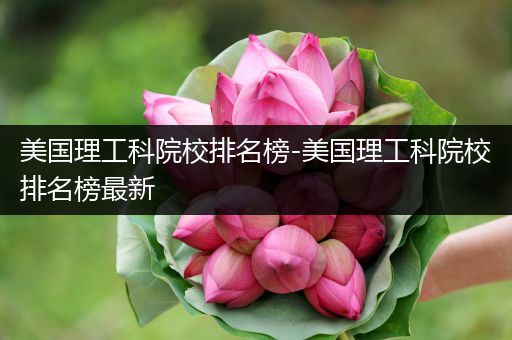 美国理工科院校排名榜-美国理工科院校排名榜最新