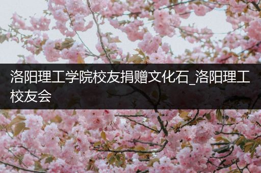 洛阳理工学院校友捐赠文化石_洛阳理工校友会