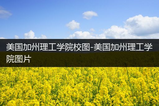 美国加州理工学院校图-美国加州理工学院图片
