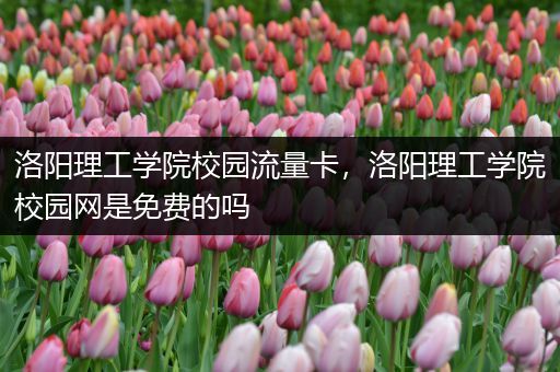 洛阳理工学院校园流量卡，洛阳理工学院校园网是免费的吗