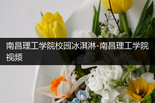 南昌理工学院校园冰淇淋-南昌理工学院视频