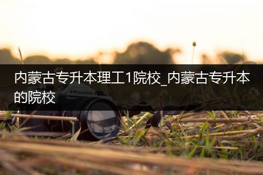 内蒙古专升本理工1院校_内蒙古专升本的院校
