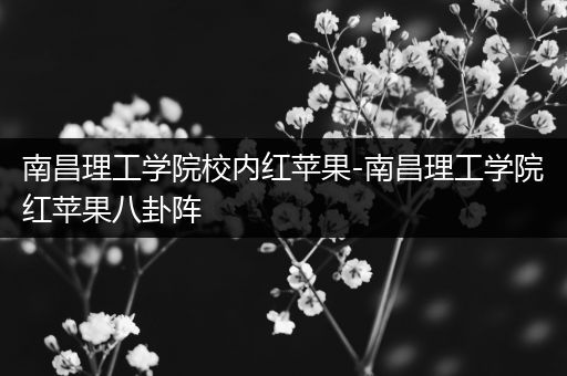 南昌理工学院校内红苹果-南昌理工学院红苹果八卦阵