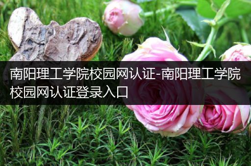 南阳理工学院校园网认证-南阳理工学院校园网认证登录入口