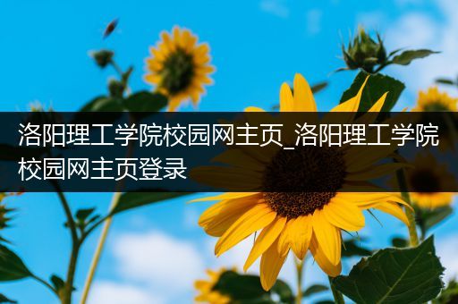 洛阳理工学院校园网主页_洛阳理工学院校园网主页登录