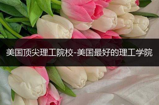 美国顶尖理工院校-美国最好的理工学院