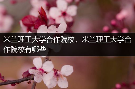 米兰理工大学合作院校，米兰理工大学合作院校有哪些