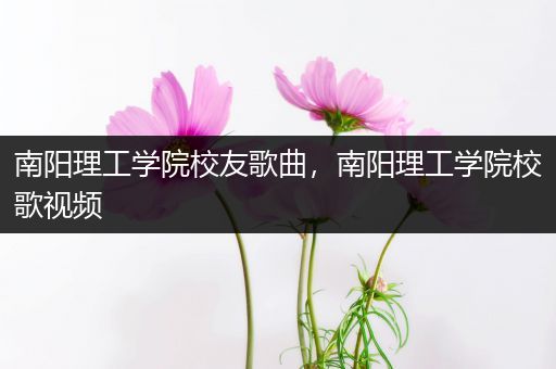 南阳理工学院校友歌曲，南阳理工学院校歌视频