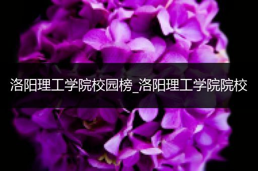 洛阳理工学院校园榜_洛阳理工学院院校