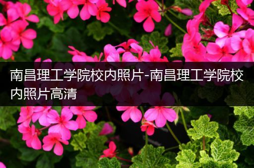 南昌理工学院校内照片-南昌理工学院校内照片高清