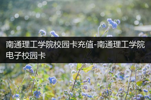 南通理工学院校园卡充值-南通理工学院电子校园卡
