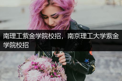 南理工紫金学院校招，南京理工大学紫金学院校招