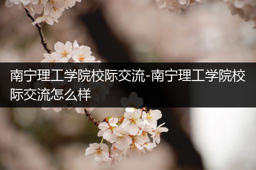 南宁理工学院校际交流-南宁理工学院校际交流怎么样