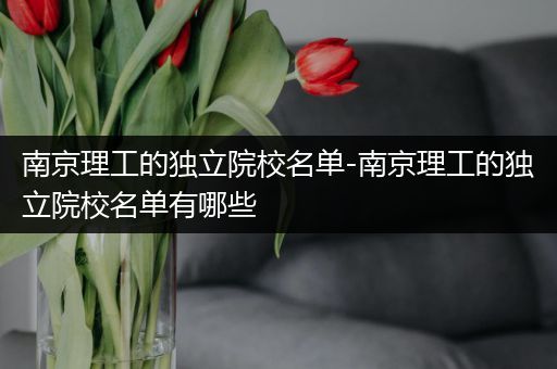 南京理工的独立院校名单-南京理工的独立院校名单有哪些