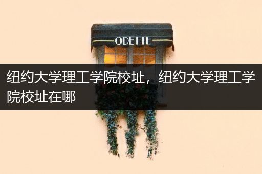 纽约大学理工学院校址，纽约大学理工学院校址在哪