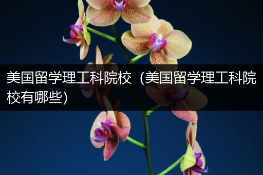 美国留学理工科院校（美国留学理工科院校有哪些）