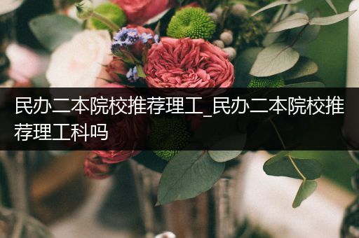 民办二本院校推荐理工_民办二本院校推荐理工科吗
