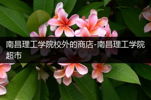 南昌理工学院校外的商店-南昌理工学院超市