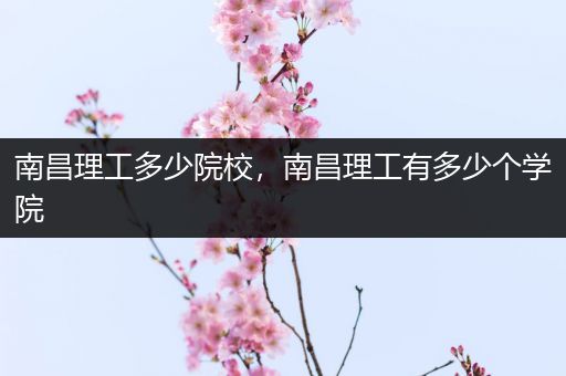 南昌理工多少院校，南昌理工有多少个学院