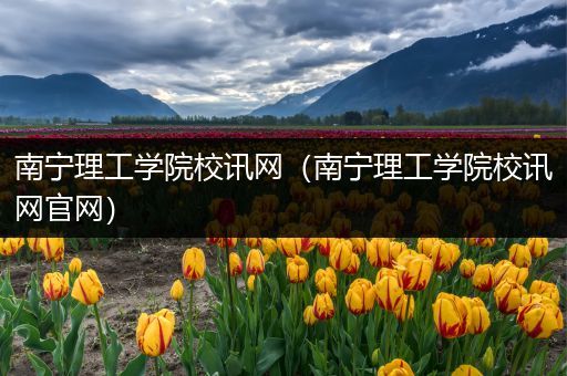 南宁理工学院校讯网（南宁理工学院校讯网官网）