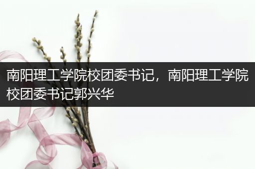 南阳理工学院校团委书记，南阳理工学院校团委书记郭兴华