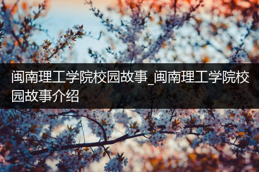 闽南理工学院校园故事_闽南理工学院校园故事介绍