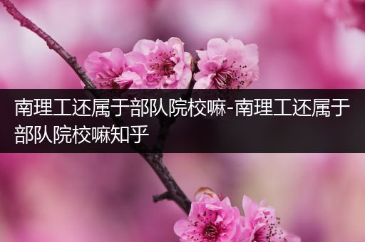 南理工还属于部队院校嘛-南理工还属于部队院校嘛知乎
