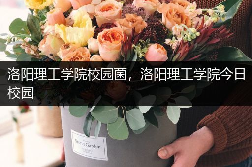 洛阳理工学院校园菌，洛阳理工学院今日校园