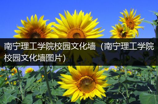 南宁理工学院校园文化墙（南宁理工学院校园文化墙图片）