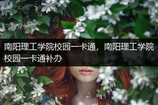 南阳理工学院校园一卡通，南阳理工学院校园一卡通补办