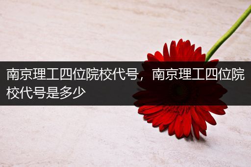南京理工四位院校代号，南京理工四位院校代号是多少