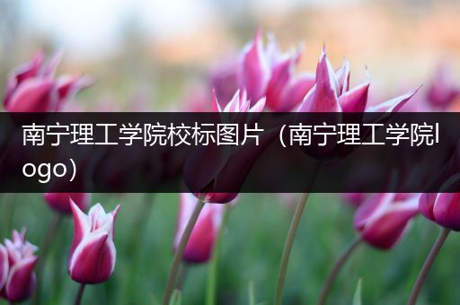 南宁理工学院校标图片（南宁理工学院logo）