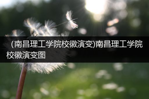 （南昌理工学院校徽演变)南昌理工学院校徽演变图