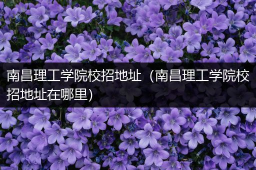 南昌理工学院校招地址（南昌理工学院校招地址在哪里）