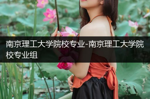 南京理工大学院校专业-南京理工大学院校专业组