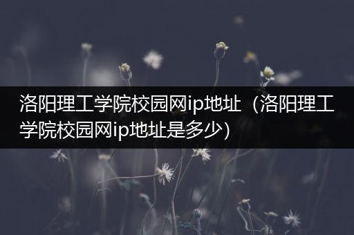 洛阳理工学院校园网ip地址（洛阳理工学院校园网ip地址是多少）