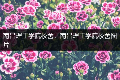 南昌理工学院校舍，南昌理工学院校舍图片