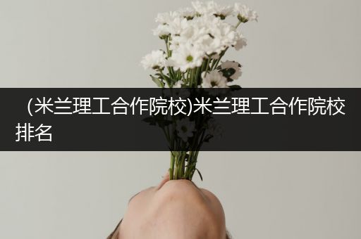 （米兰理工合作院校)米兰理工合作院校排名