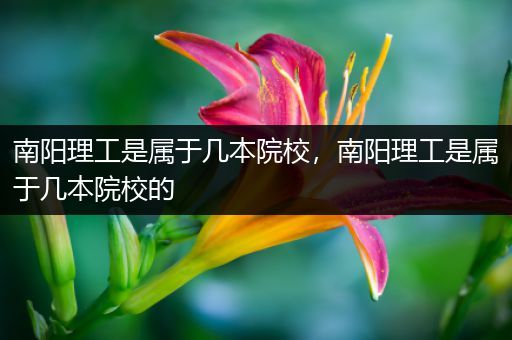 南阳理工是属于几本院校，南阳理工是属于几本院校的