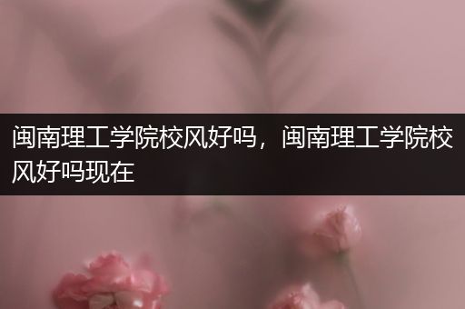 闽南理工学院校风好吗，闽南理工学院校风好吗现在