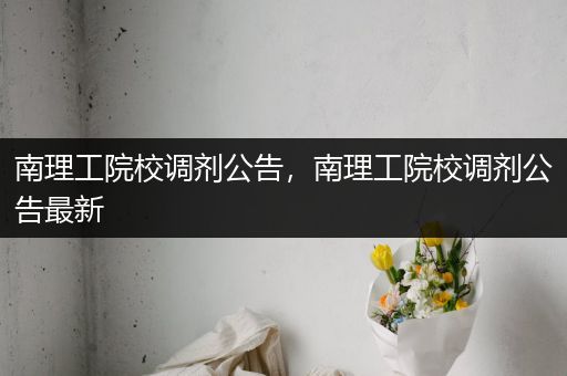 南理工院校调剂公告，南理工院校调剂公告最新