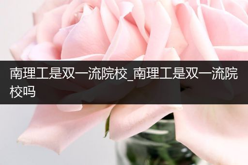 南理工是双一流院校_南理工是双一流院校吗