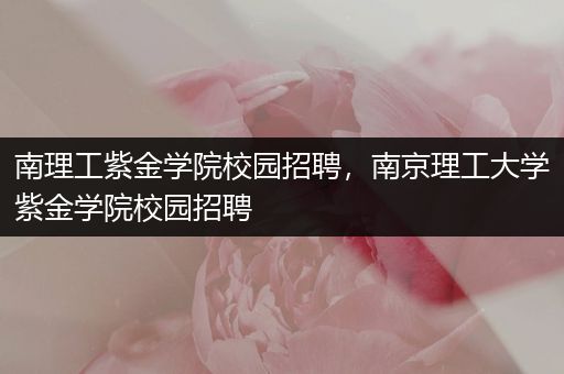 南理工紫金学院校园招聘，南京理工大学紫金学院校园招聘