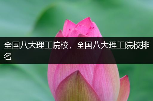 全国八大理工院校，全国八大理工院校排名
