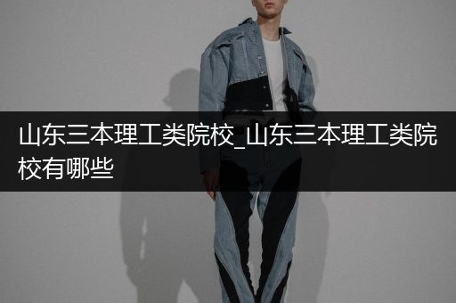 山东三本理工类院校_山东三本理工类院校有哪些