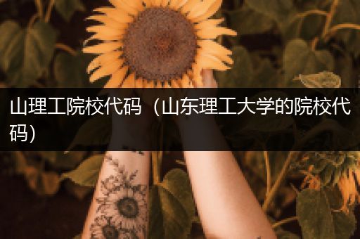 山理工院校代码（山东理工大学的院校代码）