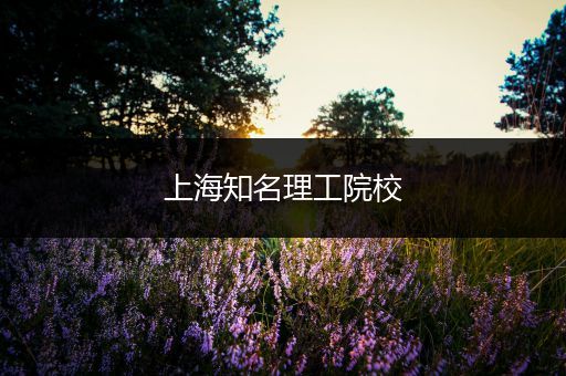 上海知名理工院校