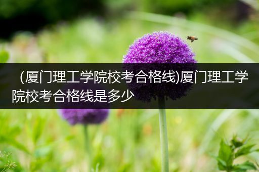 （厦门理工学院校考合格线)厦门理工学院校考合格线是多少