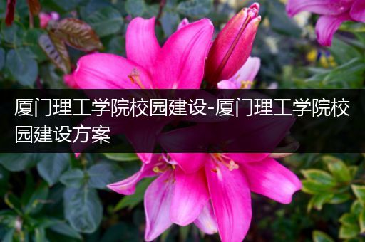 厦门理工学院校园建设-厦门理工学院校园建设方案