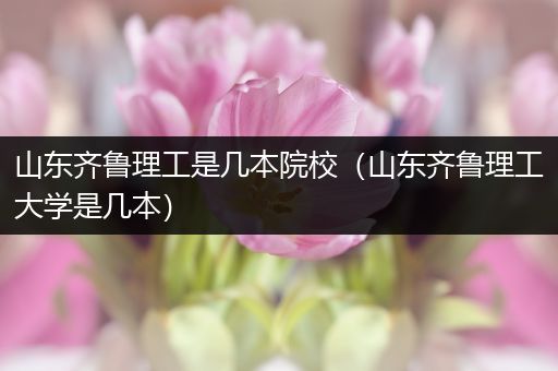 山东齐鲁理工是几本院校（山东齐鲁理工大学是几本）